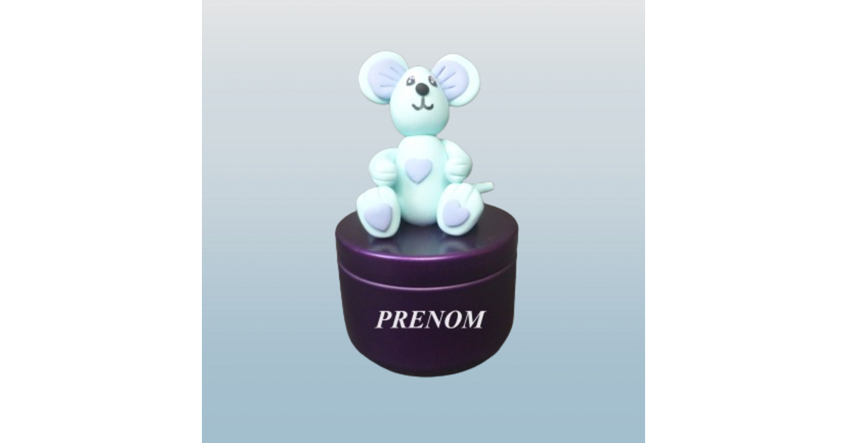 Boite à dents de lait, boite couleur prune - Cadeaux enfant à